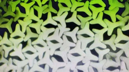 PLA Tow Y Type For Cigarette North Korea, Market